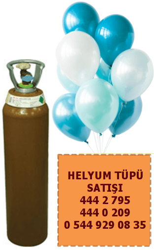 ankr Korgun Helyum tp